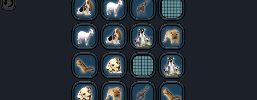 Animals Memory