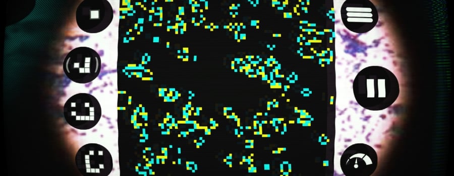 Bacteria