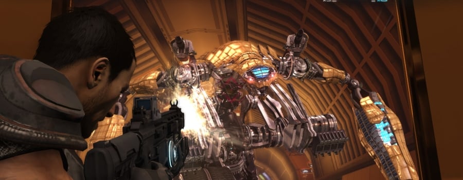 Binary Domain