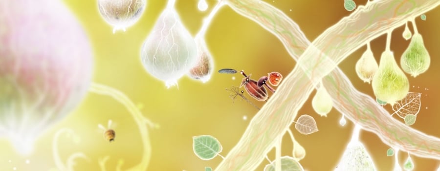 Botanicula