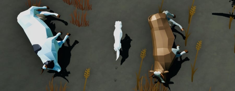 Finding Ice
