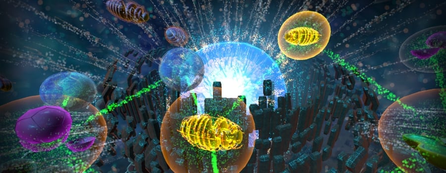 InCell VR