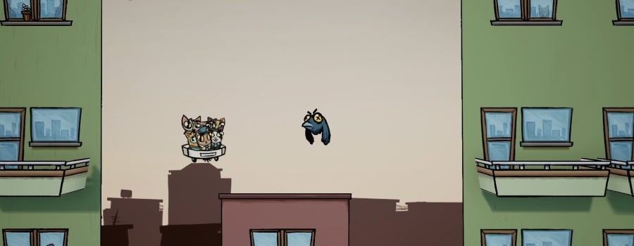 Meow Express