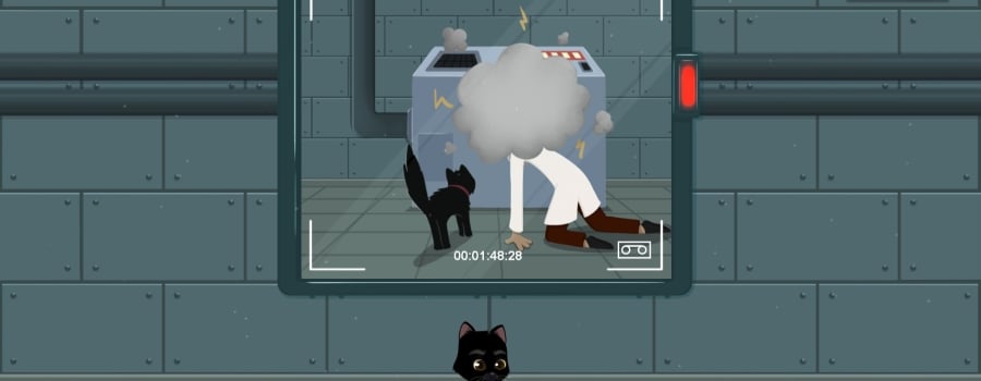 Meow Lab