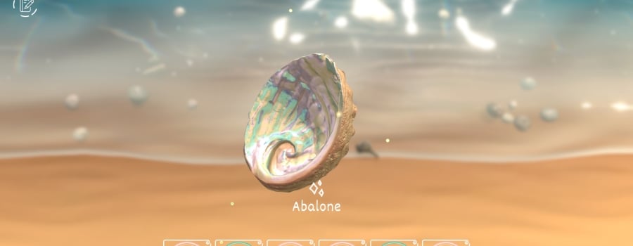 Seashell