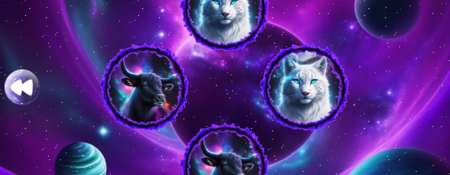 Space Memory: Animals
