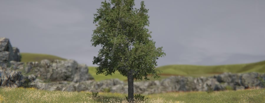 Tree Simulator 2022