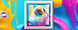 Color Splash: Dogs